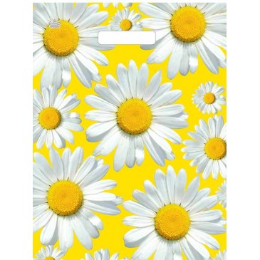 Мешок ПНД (выр.руч) 450*340 (33мкр) Солнечные ромашки Мешок ПНД (выр.руч) 450*340 (33мкр) Солнечные ромашки